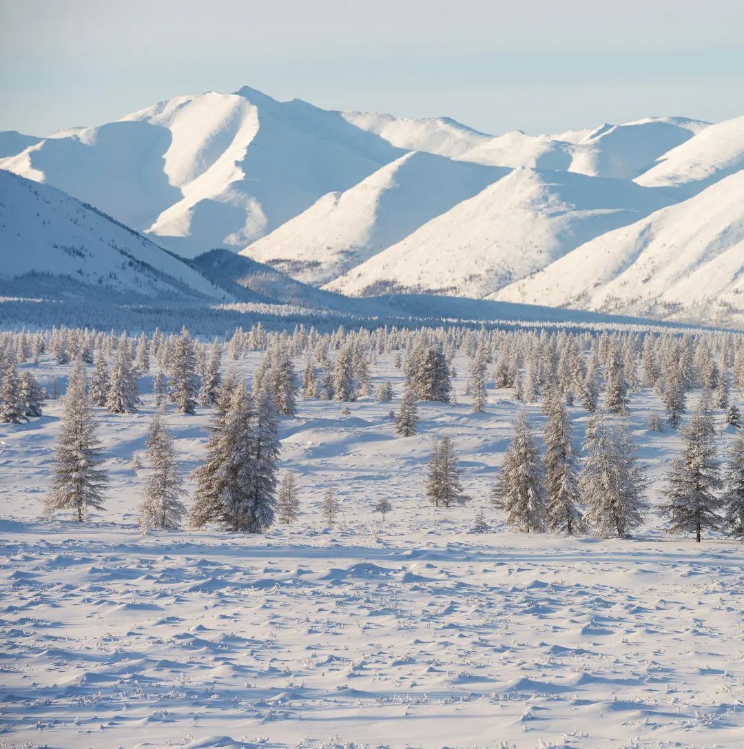 俄罗斯,解冻之危|北极|冻土|西伯利亚_新浪新闻