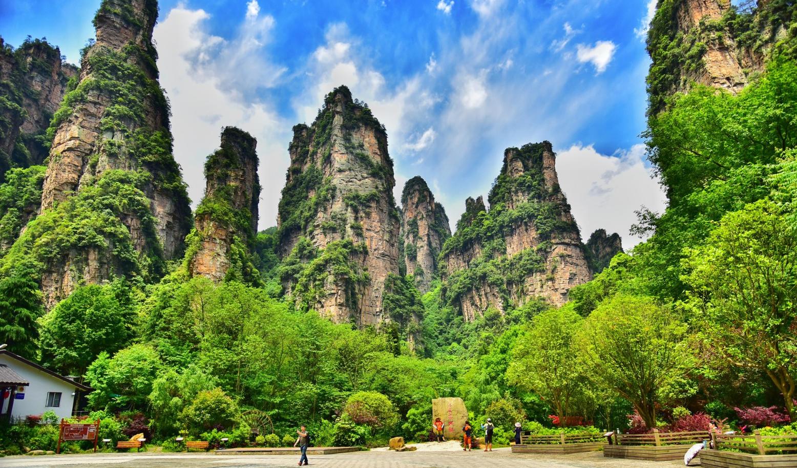 张家界旅游今年上半年净利润同比下降846%