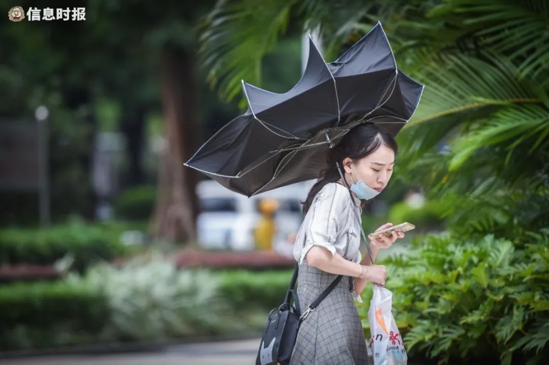 市民的伞被风吹起.信息时报记者 胡瀛斌摄