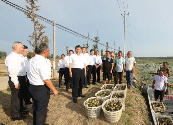 8月18日，习近平在阜阳市阜南县蒙洼蓄洪区曹集镇利民村西田坡庄台，了解当地防汛救灾和灾后恢复生产等情况。（新华社记者鞠鹏 摄）