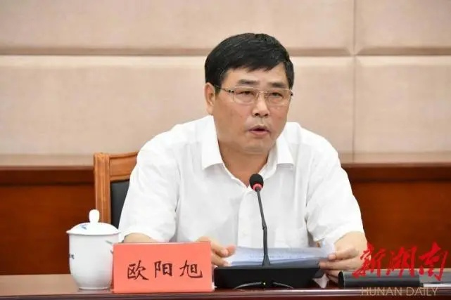 黑恶势力 保护伞=黑社会