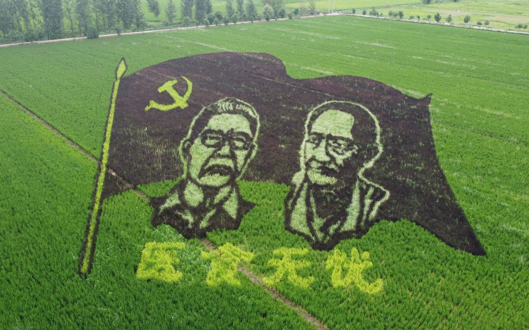 新京报讯(记者 张羽)钟南山,袁隆平,中国龙还有耕牛图……在河南省