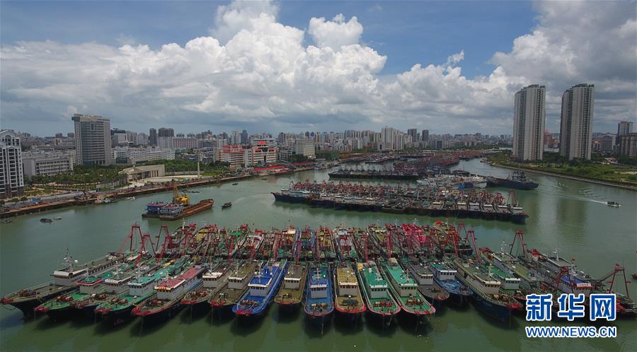 台风 海高斯 登陆广东珠海 手机新浪网 台风 海高斯 登陆广东珠海 手机新浪网