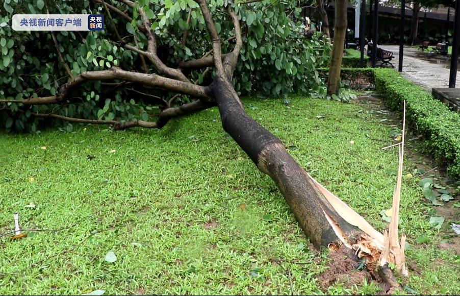 台风海高斯过境澳门：受伤就诊10人 事故报告227宗