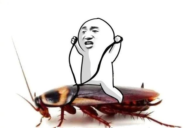 姑娘起夜突遇蟑螂瞬间崩溃不敢睡轮番找爸妈男友倾诉最后拦住了外卖