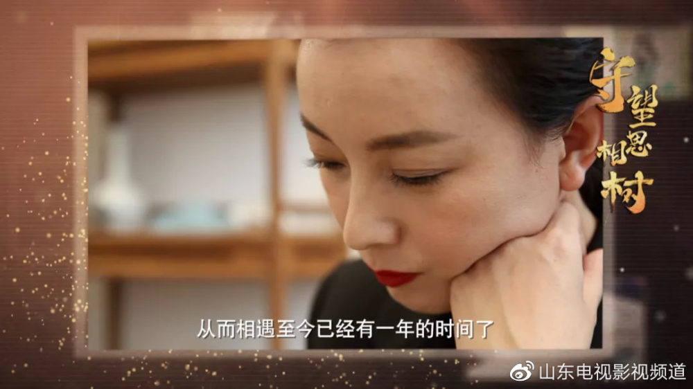 致敬最可爱的人寄给相思树的一封信