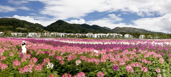 山东:东西扶贫协作,贵州安顺文旅产业招商引资在青岛签约58.9亿