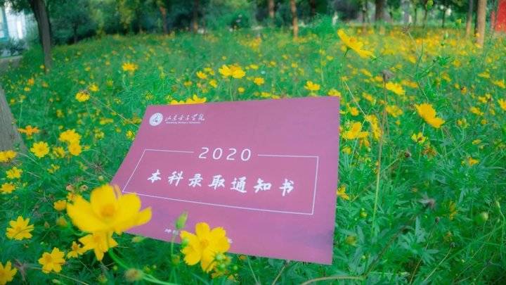 山东女子学院排名_山东女子学院2020年各专业录取分数线本科最低477分