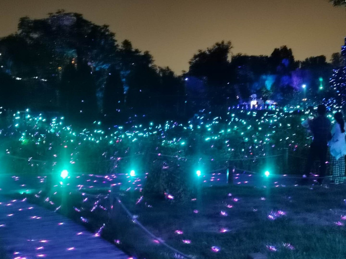 玉渊潭开启16小时超长逛园来体验户外灯光秀吧