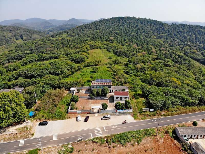 跟着爸妈去扶贫|孙雅婷|程进|元通_新浪新闻