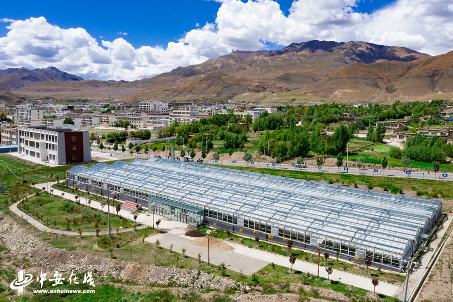 打造产业脱贫样板【组图】|高原|措美|措美县_新浪新闻