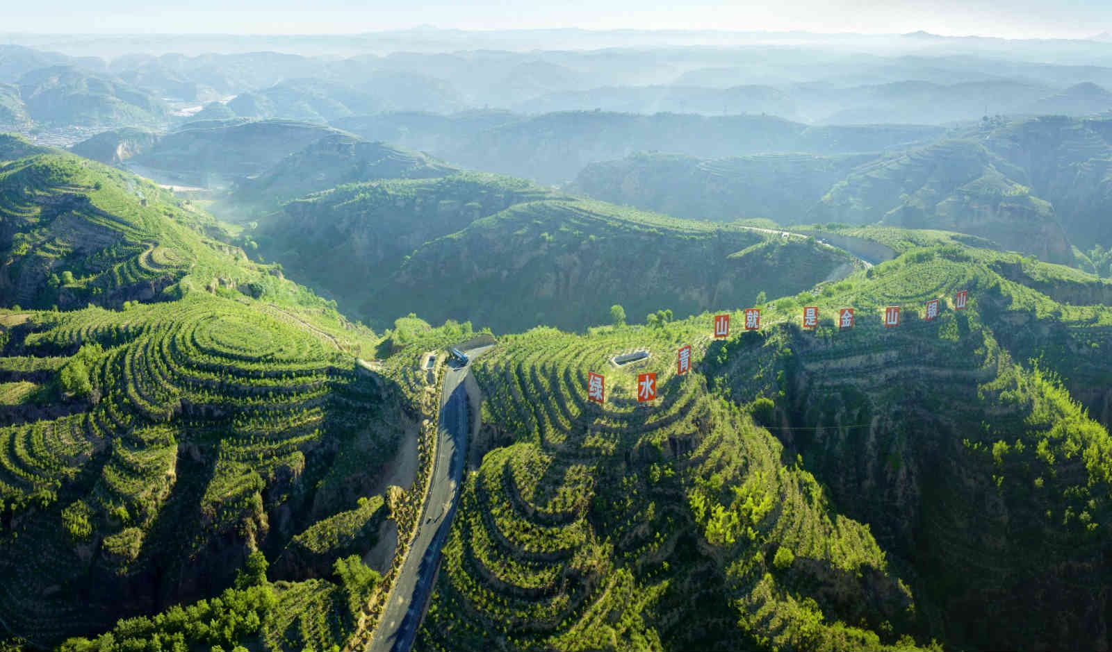 山西临县:绿富美,让乡村振兴"走花路"