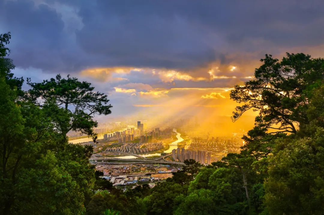 这些奖补措施延续至年底|三山|乌山|福州_新浪新闻