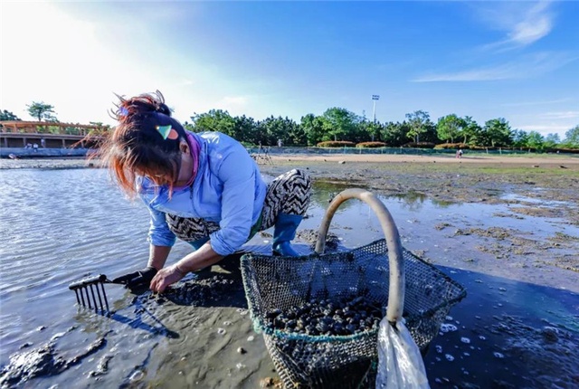 吹海風,趕小海,夏秋威海榮成海趣足|榮成|趕海|螃蟹_新浪新聞