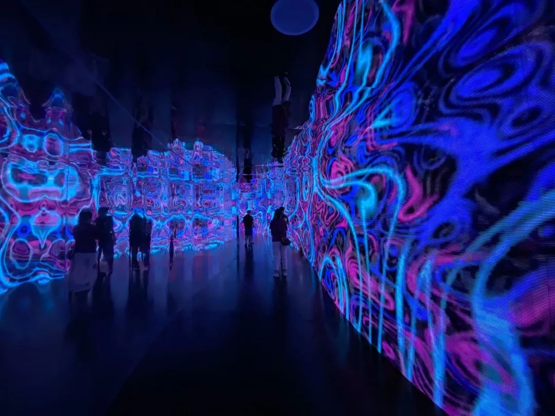 "万物共生"户外光影展登陆玉渊潭公园