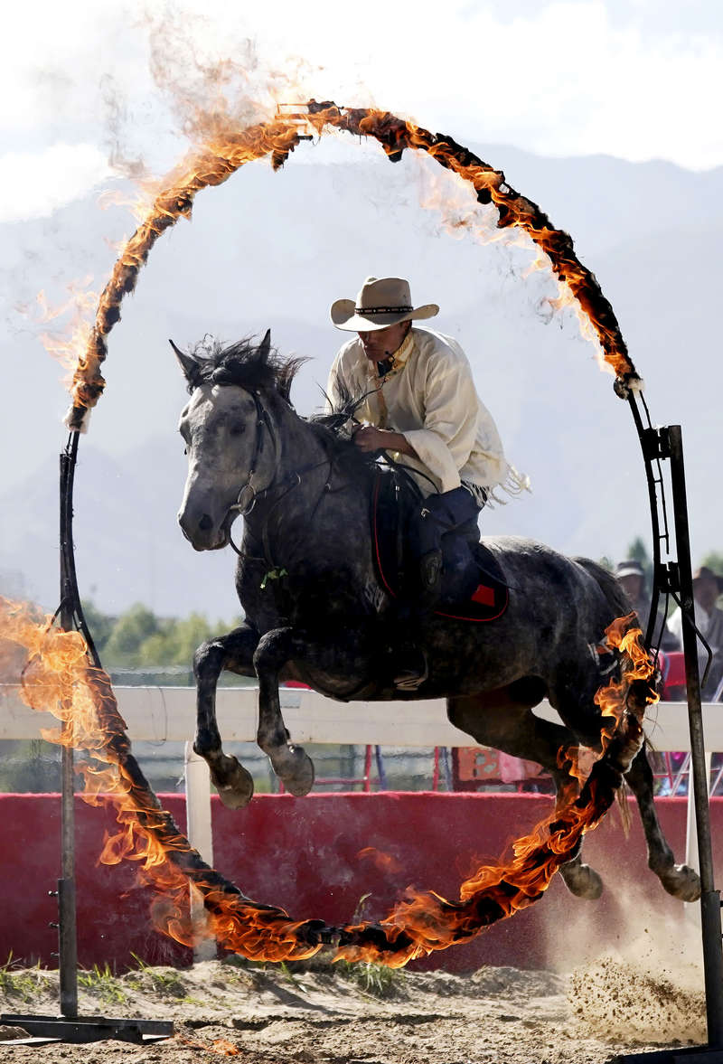 北郊赛马场,一名骑手在拉萨雪顿节民族传统马术表演上骑马穿过火圈
