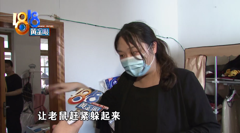 老鼠|上厕所得先敲门，这叫什么事儿啊！姑娘一人独居