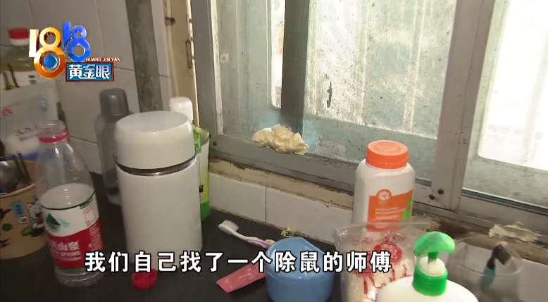 老鼠|上厕所得先敲门，这叫什么事儿啊！姑娘一人独居