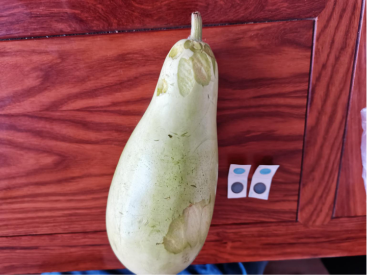 广东一家4口被"放倒",这类食物餐桌常见|浙江|葫芦瓜|苦瓜_新浪新闻