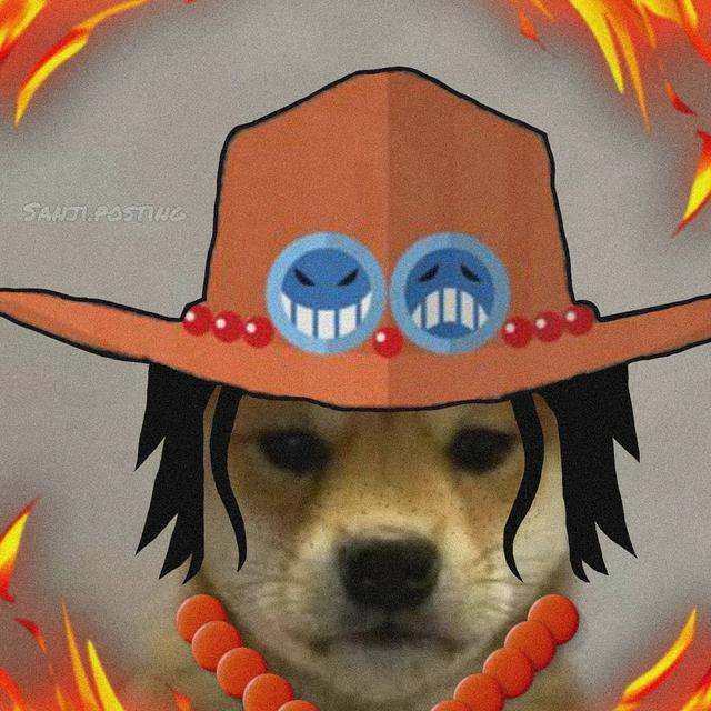 海贼王狗头系列9大角色神还原狗圈的cos大佬掌握角色精髓