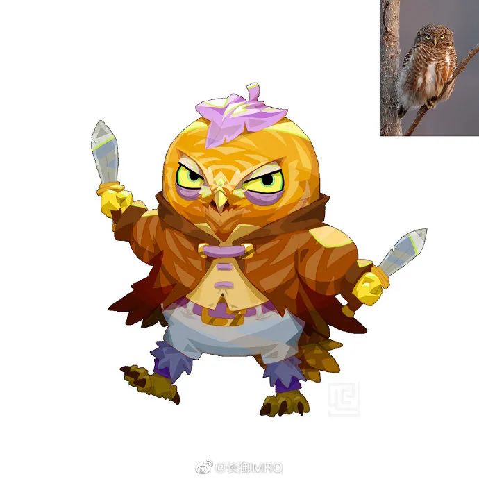 秃鹫赤腹鹰食猿雕凤头蜂鹰大鵟(kuáng)游隼金雕雪鸮仓鸮安第斯神鹫王