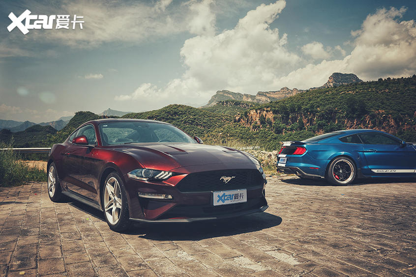 极致视驾 福特mustang 2.3l&谢尔比 gte
