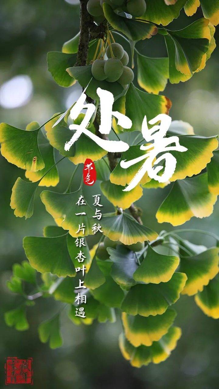 处暑如约而至跟夏天的燥热说拜拜跟秋天的凉爽说嗨嗨