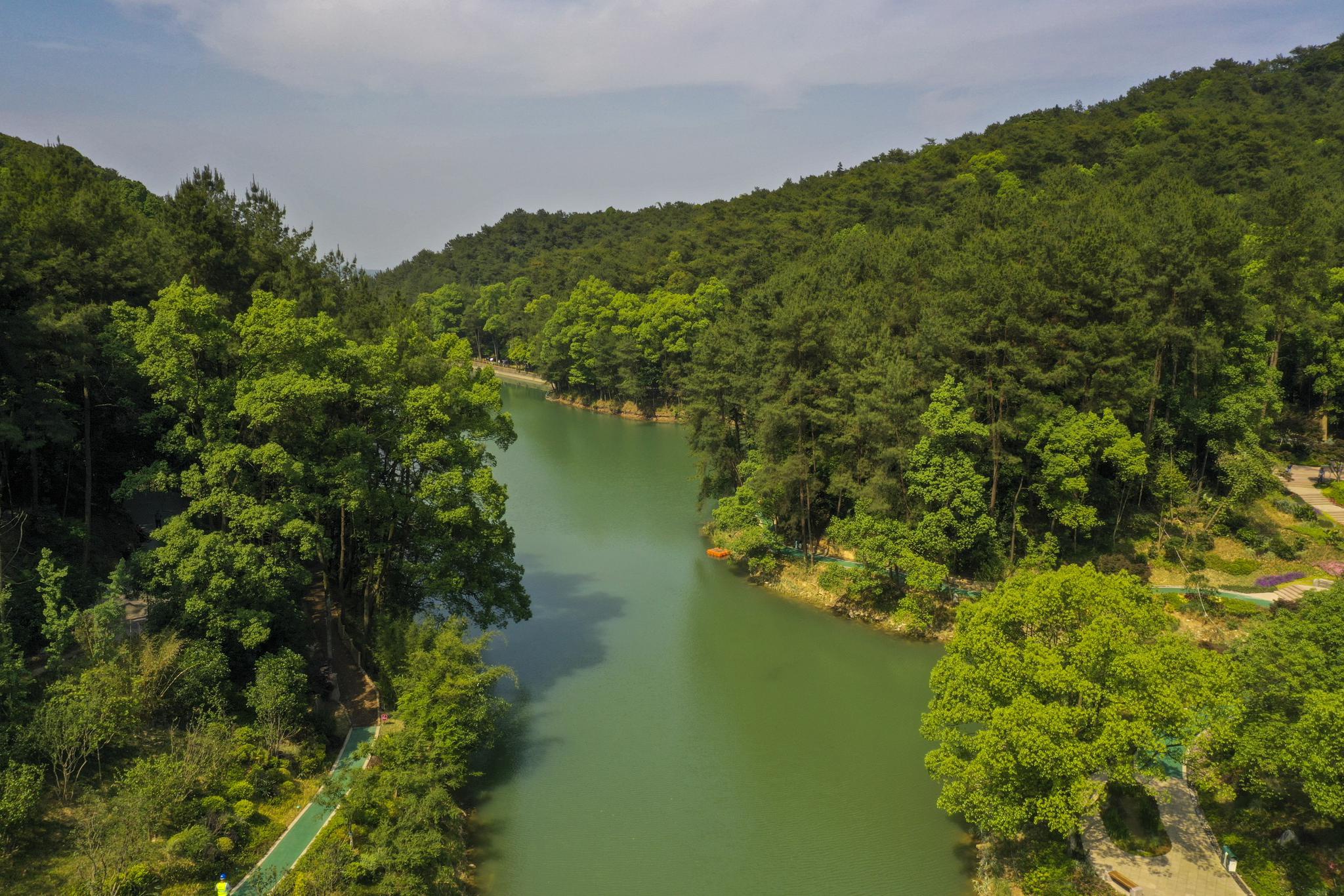 走向我们的小康生活|从"靠山吃山"到"养山富山"——重庆缙云山的"绿色