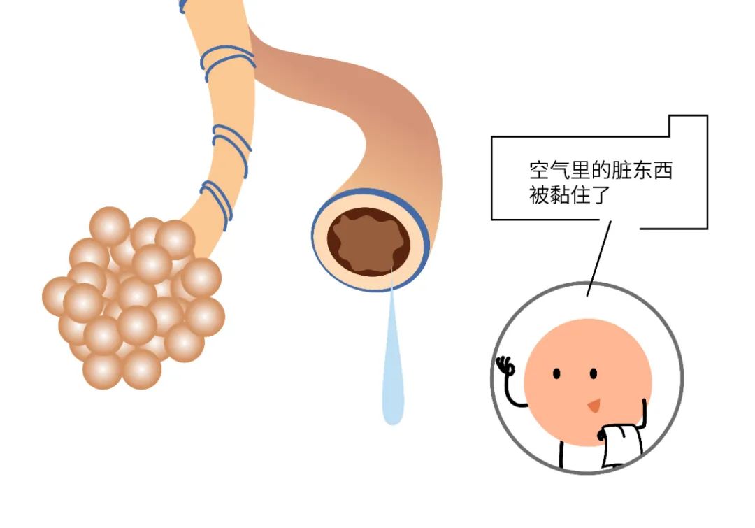 【名医】我是你的肺泡,我拼尽全力让你自由呼吸