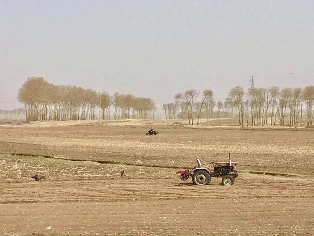 增产潜力1.8亿吨 中国粮食生产三大瓶颈待打破