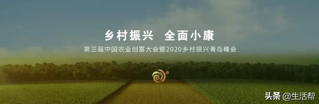 2020元宵安排名单_央视2020元宵晚会播出时间、主持人及嘉宾名单(2)