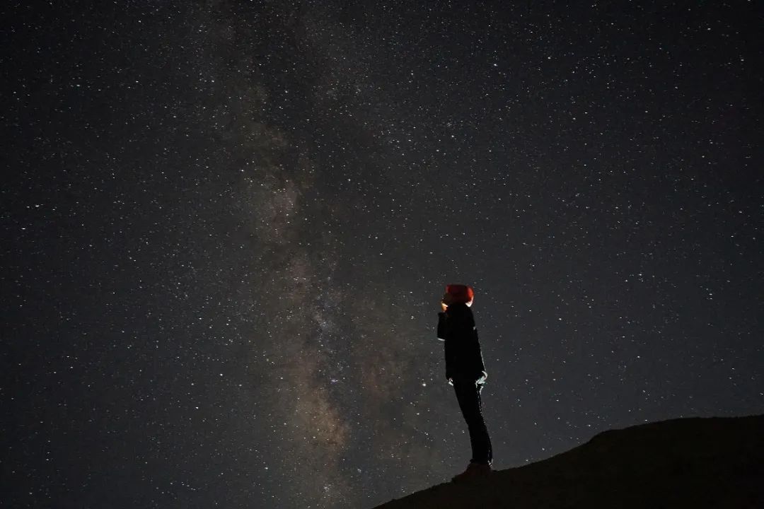 星空.新京报记者 陈杰 刘旻 摄