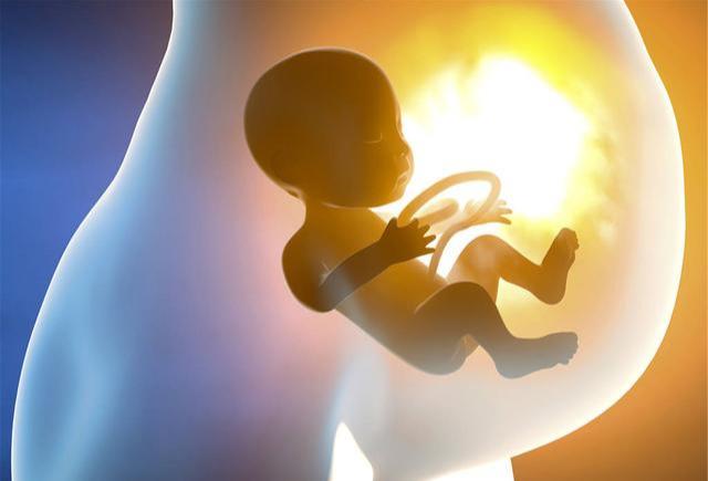 子宫孕育记从怀孕到分娩会经历5个变化当妈不易