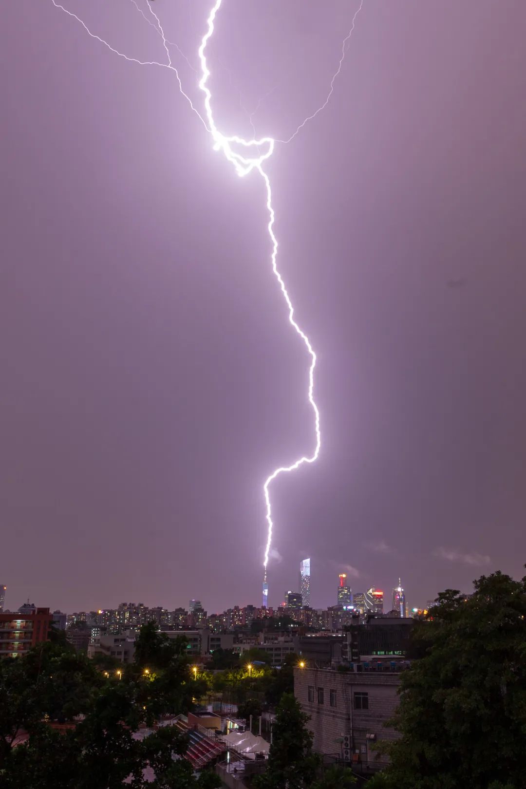 美国佛罗里达州上演现实版晴天霹雳,为啥晴天也会有闪电_新浪新闻