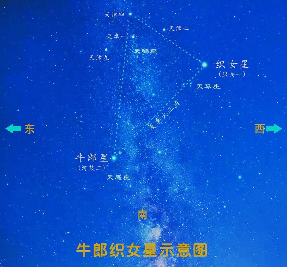 明晚七夕之夜,请与您最爱的人看星星"拍拖"|织女星|星星|天象_新浪
