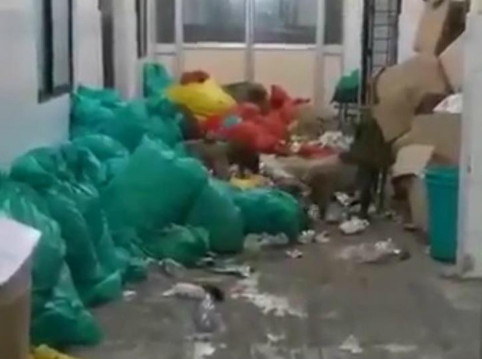 印度又一防疫医院现猪群：从医疗废物觅食 是病房“常客”休闲区蓝鸢梦想 - Www.slyday.coM