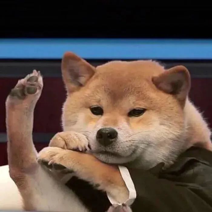 头像壁纸 | 我不完美,你也一样