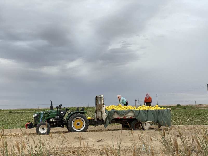 百万场农产品直播将覆盖逾千农业县 预计成交额10亿元