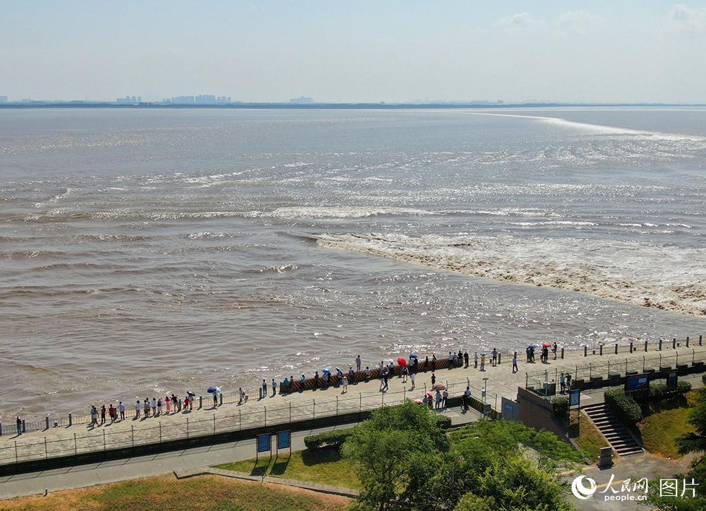 航拍浙江海宁壮观钱塘交叉潮