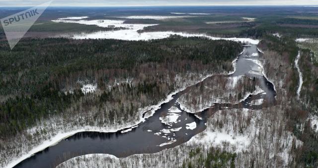 韦特科夫的话披露:"科米共和国水文环境不佳,伯朝拉河水位预计将下降