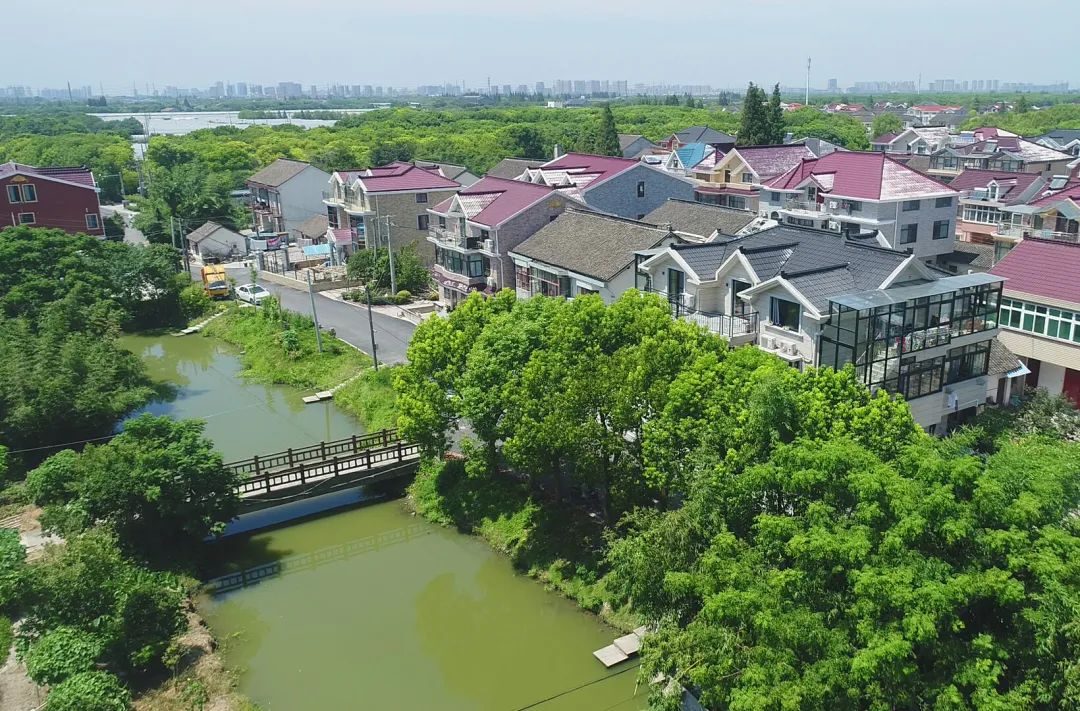 嘉定区马陆镇大裕村一串葡萄背后的突围与逆袭我和我的小康村