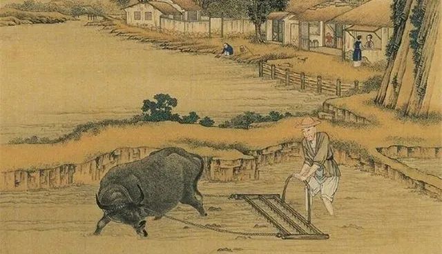 为七夕正名古代今日女人买买买男人晒晒晒