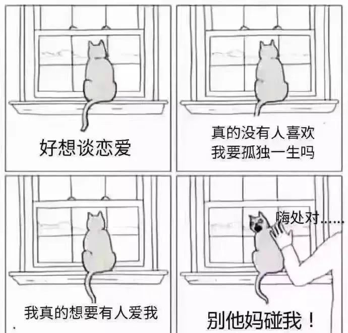 我留学生渴望爱情庆幸单身