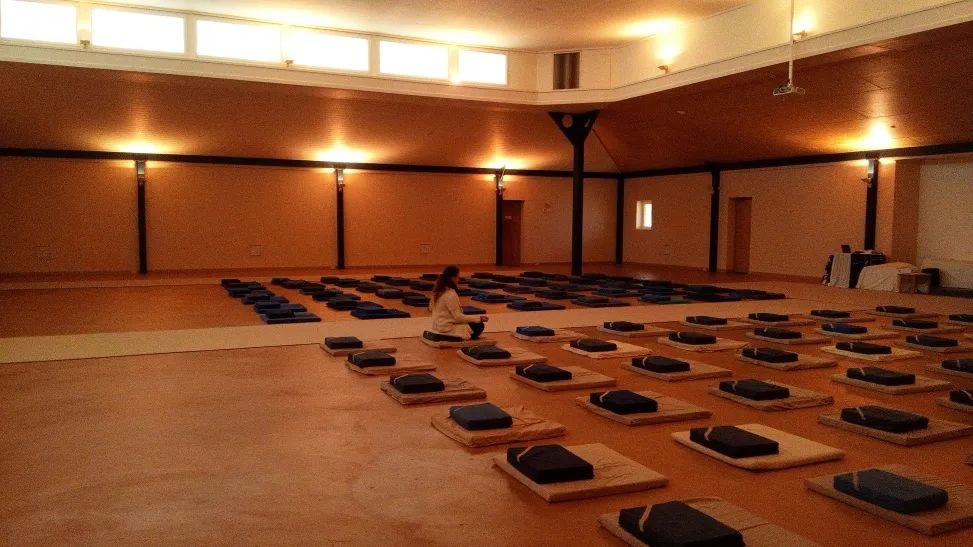 早上8点去大厅在助理老师带领下打坐冥想,听到有人打呼噜.