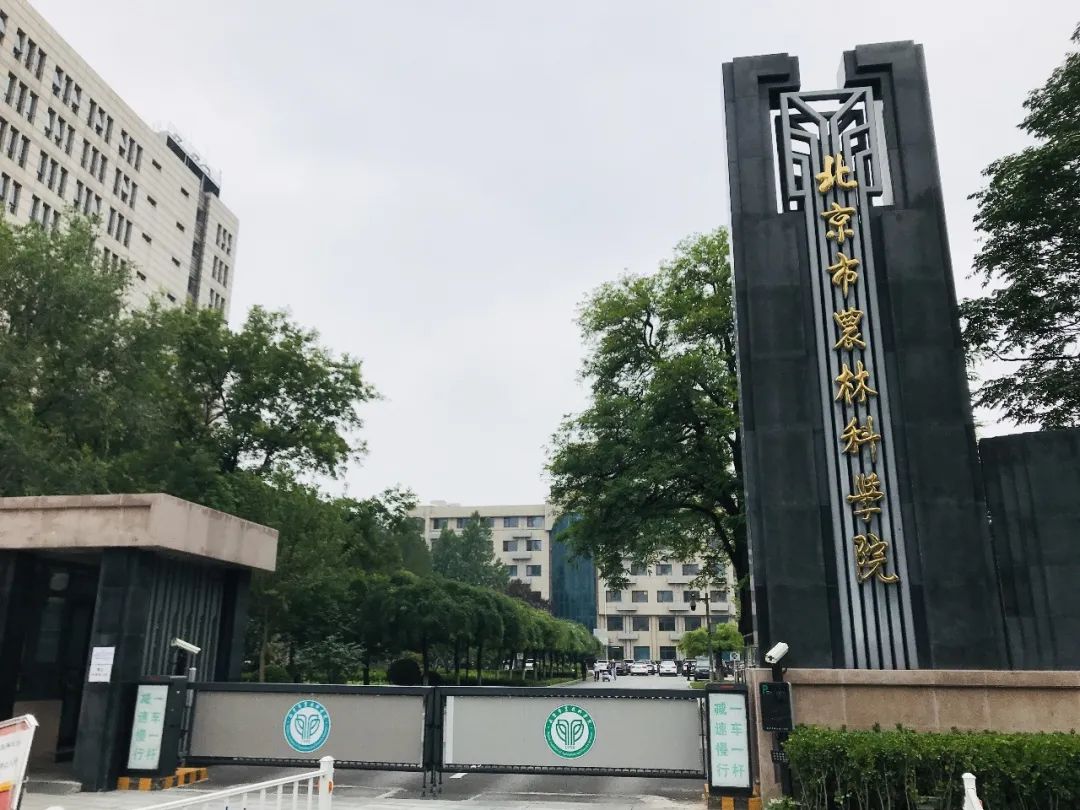 直播卖货的"种子哥"——北京市农林科学院