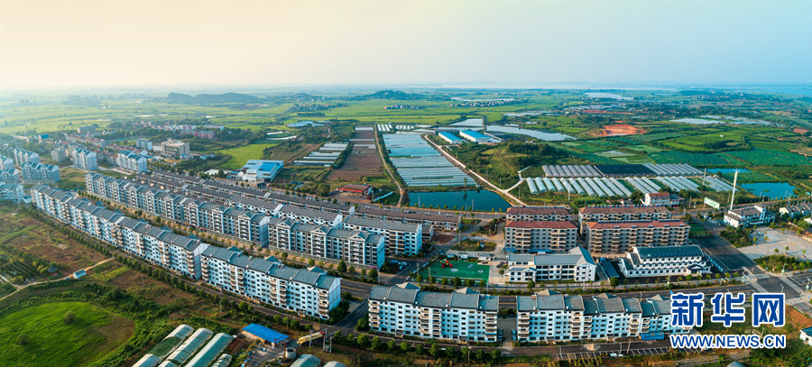 武汉市江夏区法泗街大路村通过迁村腾地,土地流转,集中建设农民新居