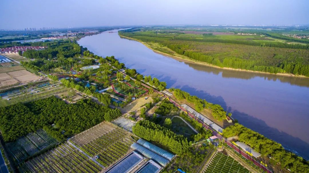 沾化网站seo优化排名