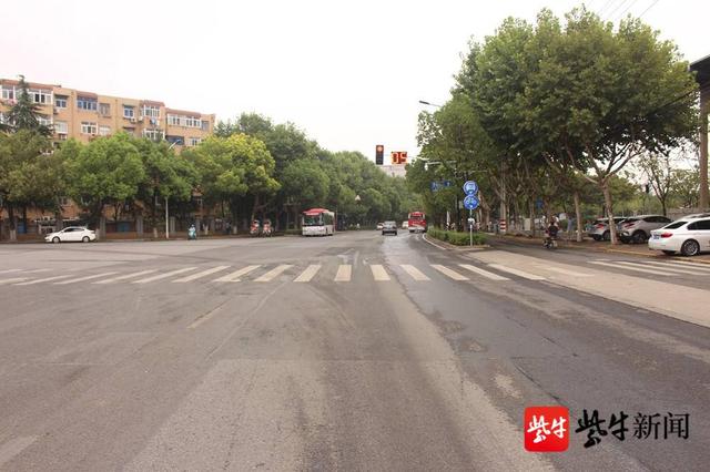 丁字路口适逢公园改造升级,车流量大常造成拥堵咋办?