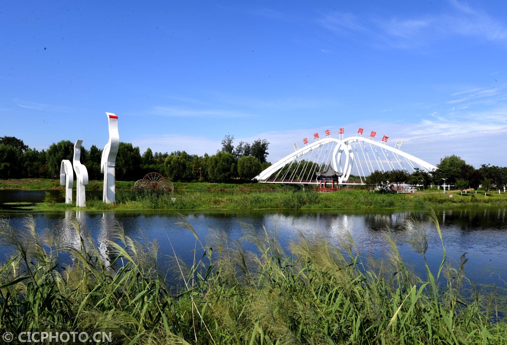河南夏邑:生态沱河景色美|夏邑县|育才|河南省_新浪新闻