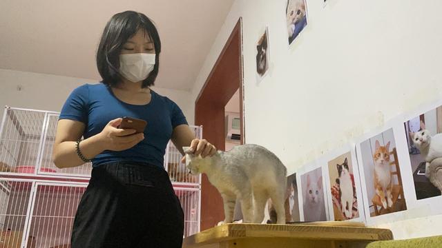 盲目投喂不可取！北京90后女孩帮700多流浪猫回家休闲区蓝鸢梦想 - Www.slyday.coM